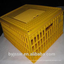 Live Poultry Plastic Crate